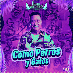 Como Perros y Gatos