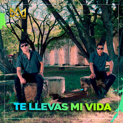 Te Llevas Mi Vida
