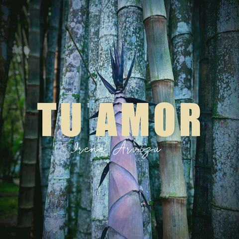 Tu Amor