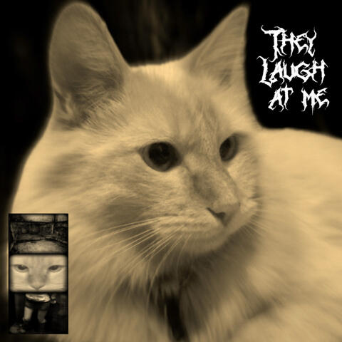 They Laugh at Me