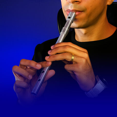 Tin Whistle, Flauta Irlandesa em Louvor
