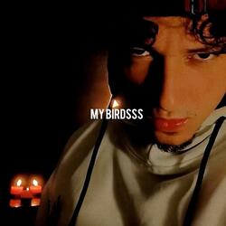 My Birdsss