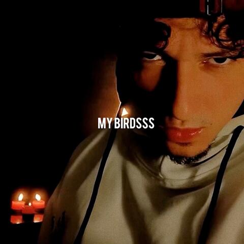 My Birdsss