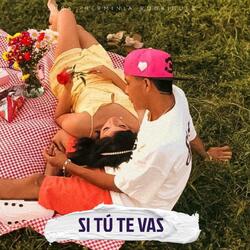 Si Tú Te Vaz