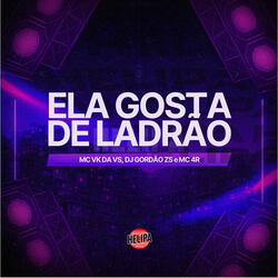Ela Gosta de Ladrão