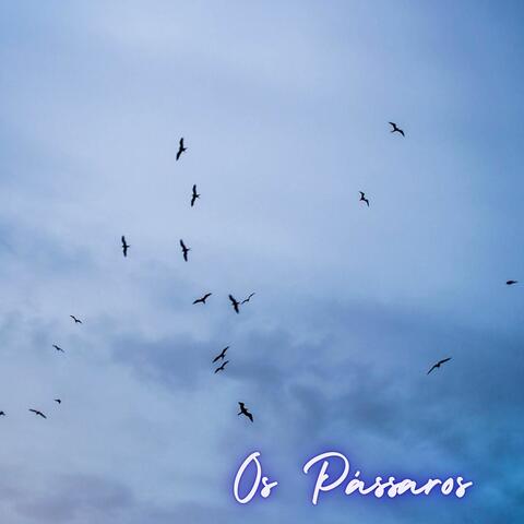 Os Pássaros