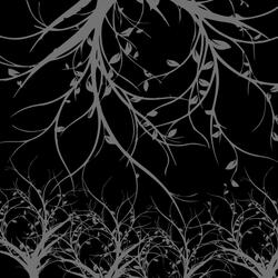 Disco de Vinil do Deserto