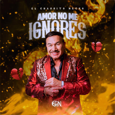 Amor No Me Ignores