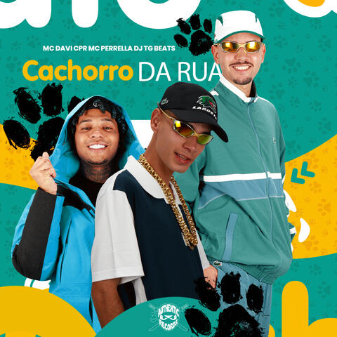 Cachorro de Rua