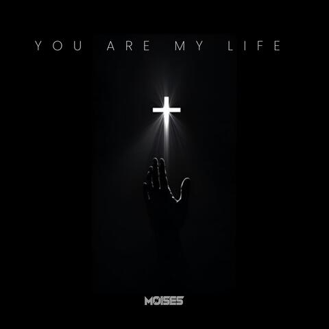 You Are My Life
