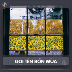 Tình Yêu Không Lời