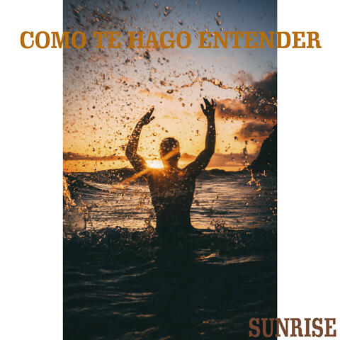 Como Te Hago Entender
