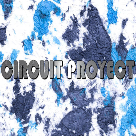 Circuit Proyect