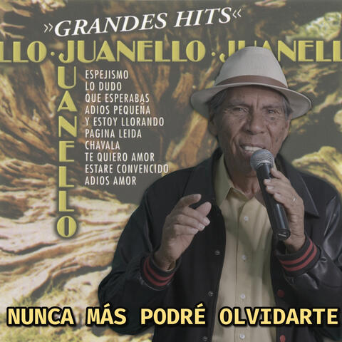 Nunca Más Podré Olvidarte