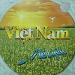 Những Ánh Sao Đêm