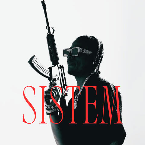System