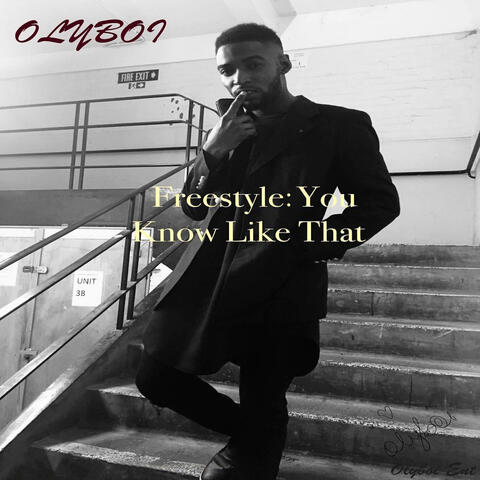 Freestyle: You Know Like That - Single