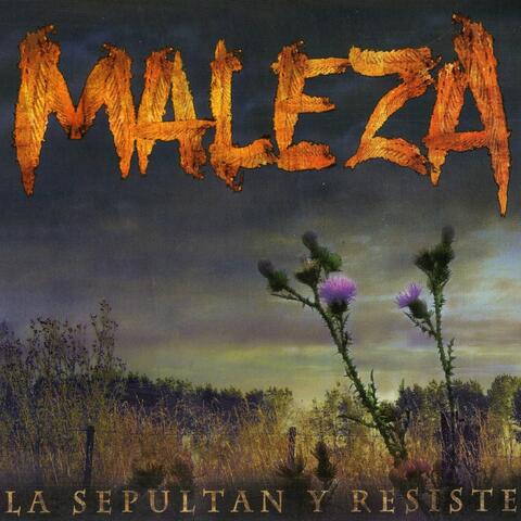 La Sepultan y Resiste