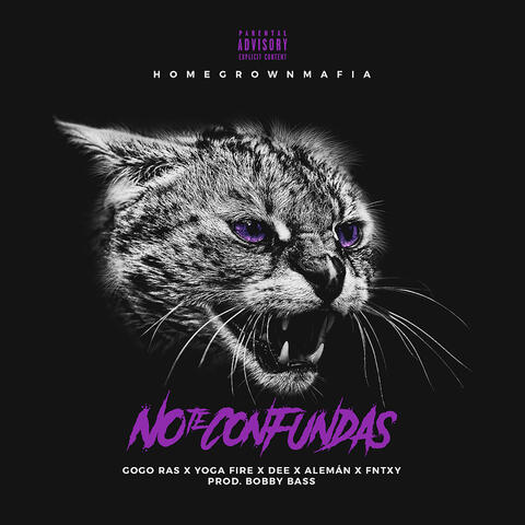 No Te Confundas - Single