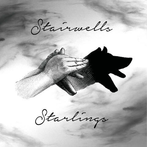 Starlings - Single