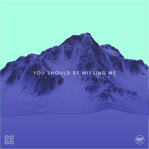 You Should Be Missing Me - Single
