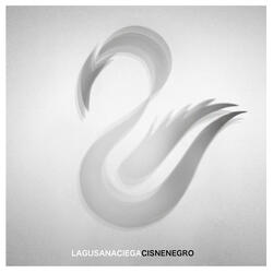 Cisne Negro