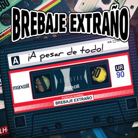 ¡A Pesar de Todo!