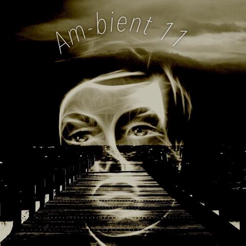 Am-bient 11