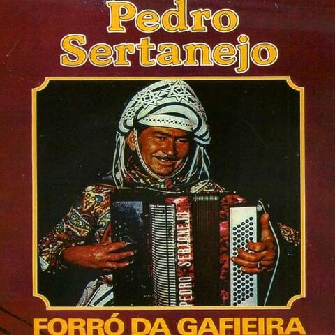 Forró da Gafieira