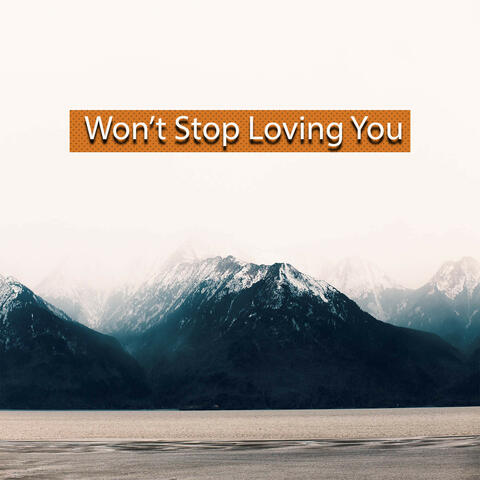 Won't Stop Loving You - Single