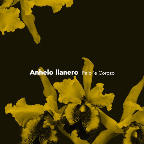 Anhelo Llanero