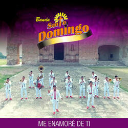 Me Enamoré de Ti
