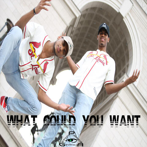 What Could You Want - Single