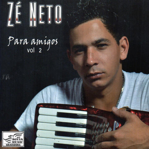 Para os Amigos, Vol. 2