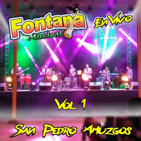 En Vivo San Pedro Amuzgos, Vol. 1