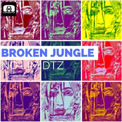 Broken Jungle