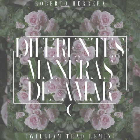 Diferentes Maneras de Amar - Single