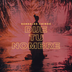 Dije Tu Nombre