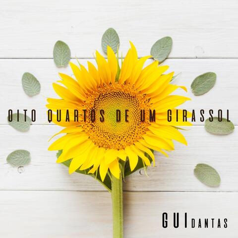 Oito Quartos de um Girassol