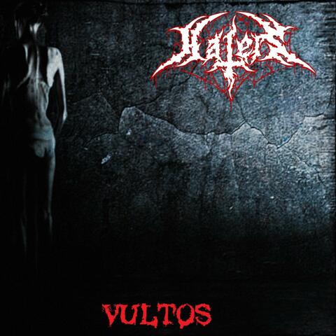 Vultos