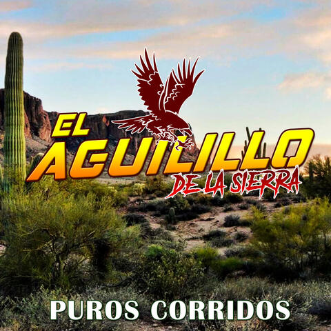 Puros Corridos