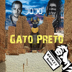 Gato Preto