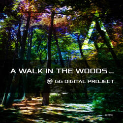 A Walk in the Woods