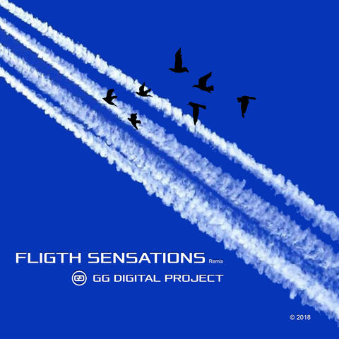 Fligth Sensation