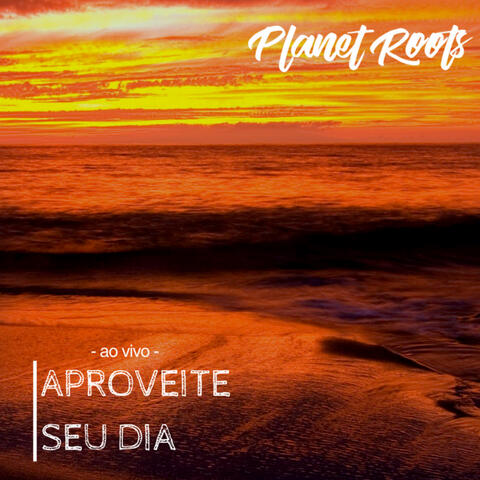 Aproveite Seu Dia