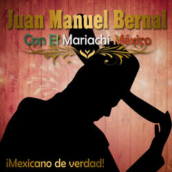 Falsa y Ladina (ft. El Mariachi México)