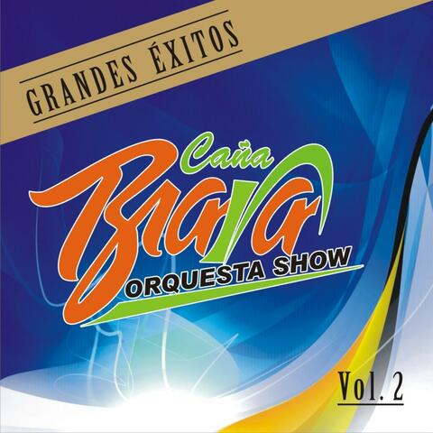 Grandes Exitos Vol.2