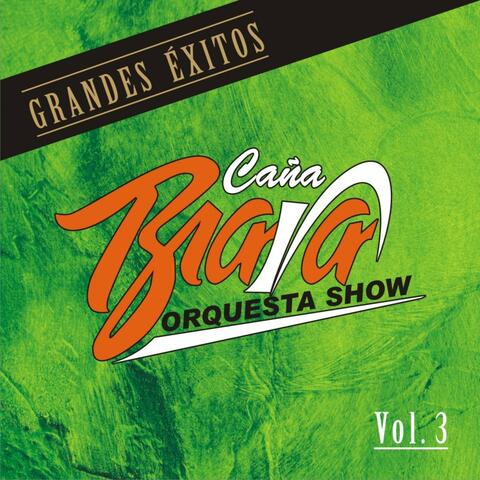 Grandes Exitos Vol.3