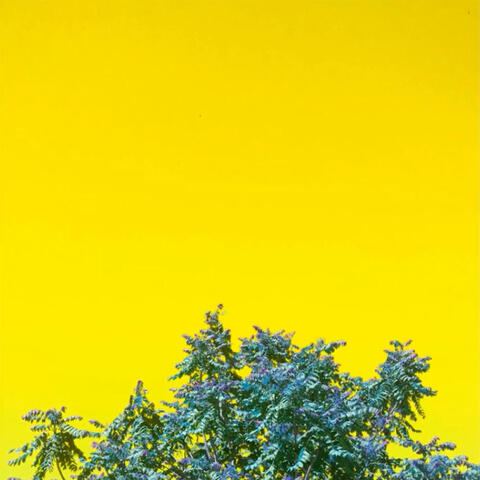 Primavera en el Norte