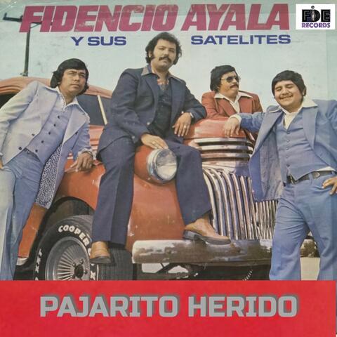 Pajarito Herido